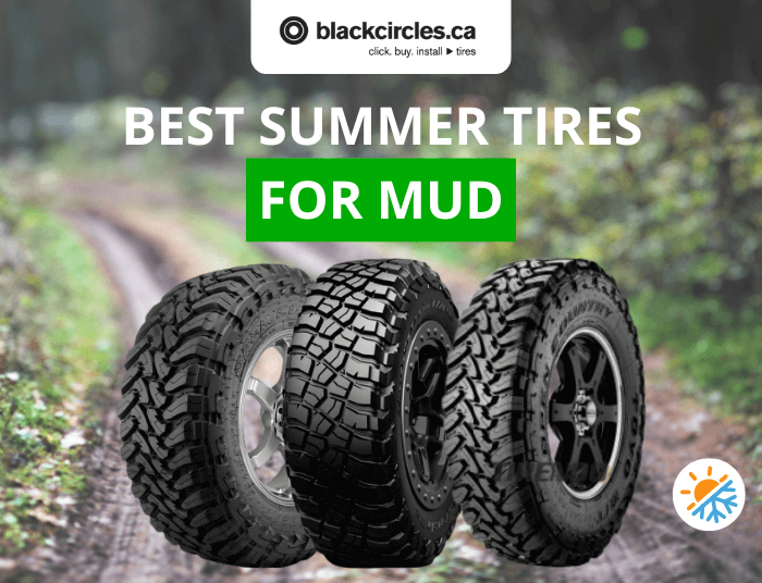 Best All Season Summer Tires For Light Trucks 2024